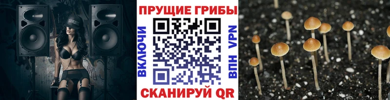Псилоцибиновые грибы ЛСД  mega ссылки  Макушино 